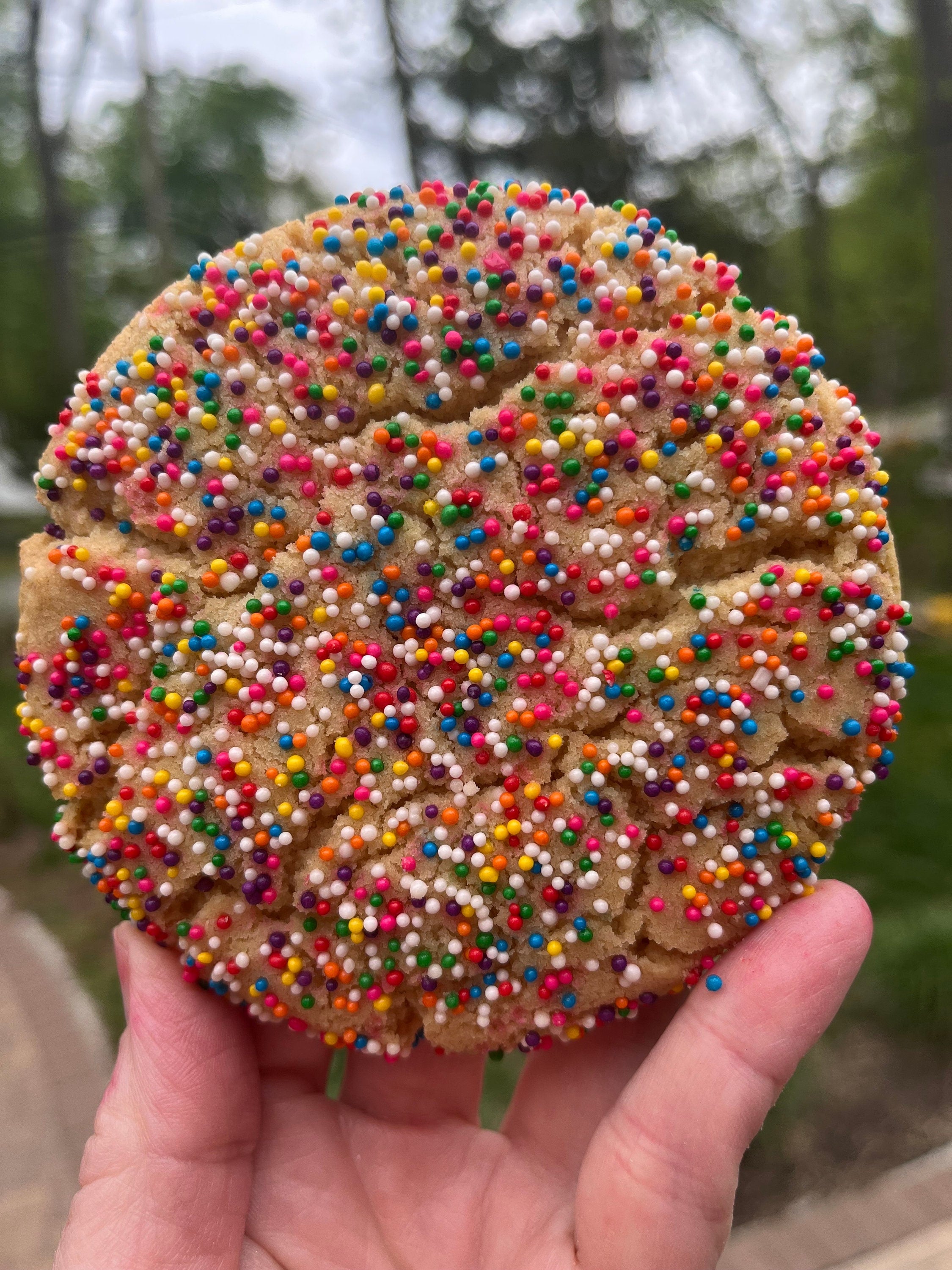 Large Sprinkle Sugar Cookies