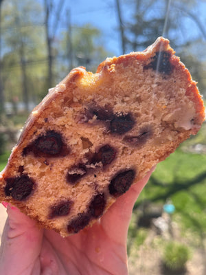 Citrus Bluberry Loaf