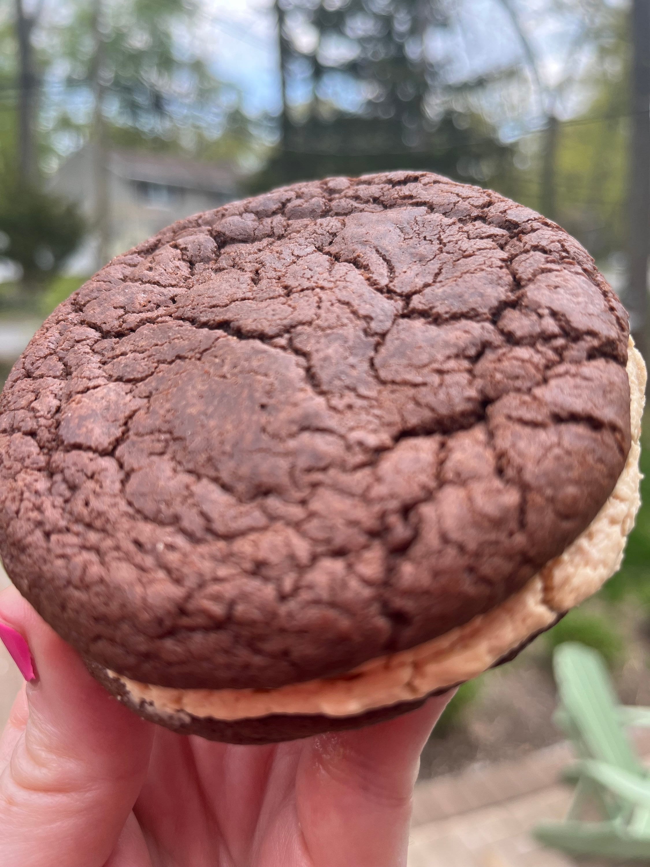 Brownie Sandwich Cookies