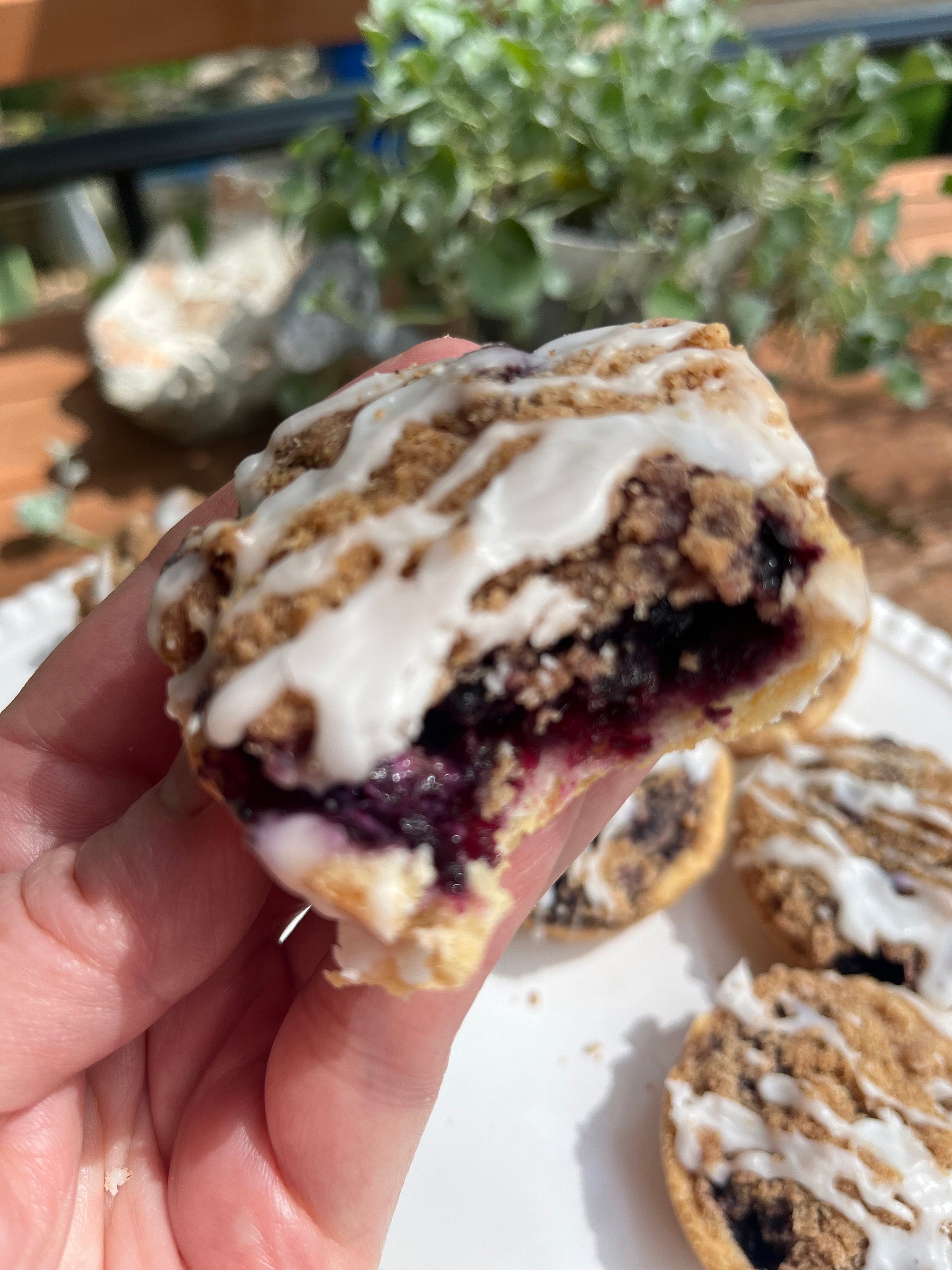 Pie Cookies