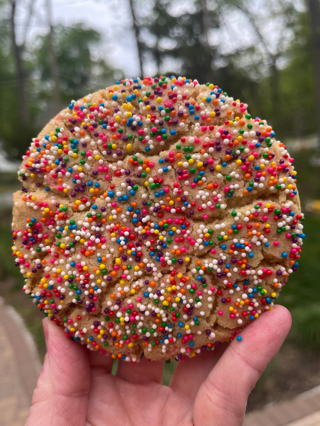 Large Sprinkle Sugar Cookies