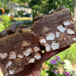 CARMIC BAR Chocolate Caramel Rocky Road