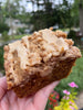 Pumpkin Crumb Cake