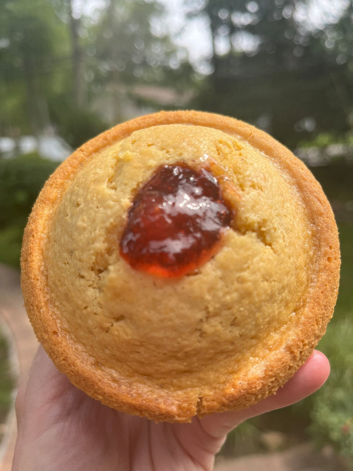 Jumbo Strawberry Corn Muffin