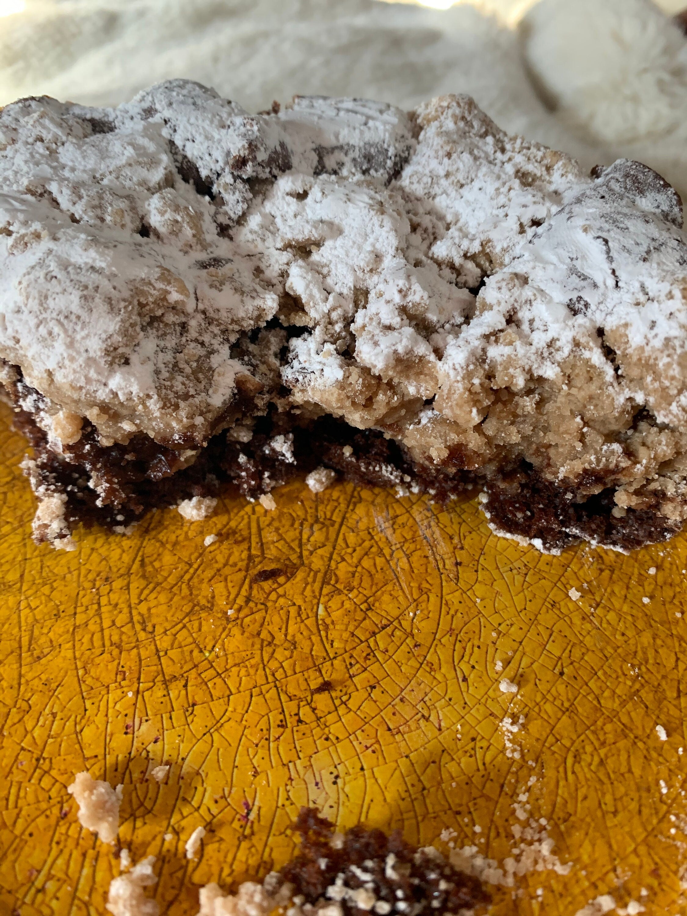 Chocolate Tons of Crumb Cake