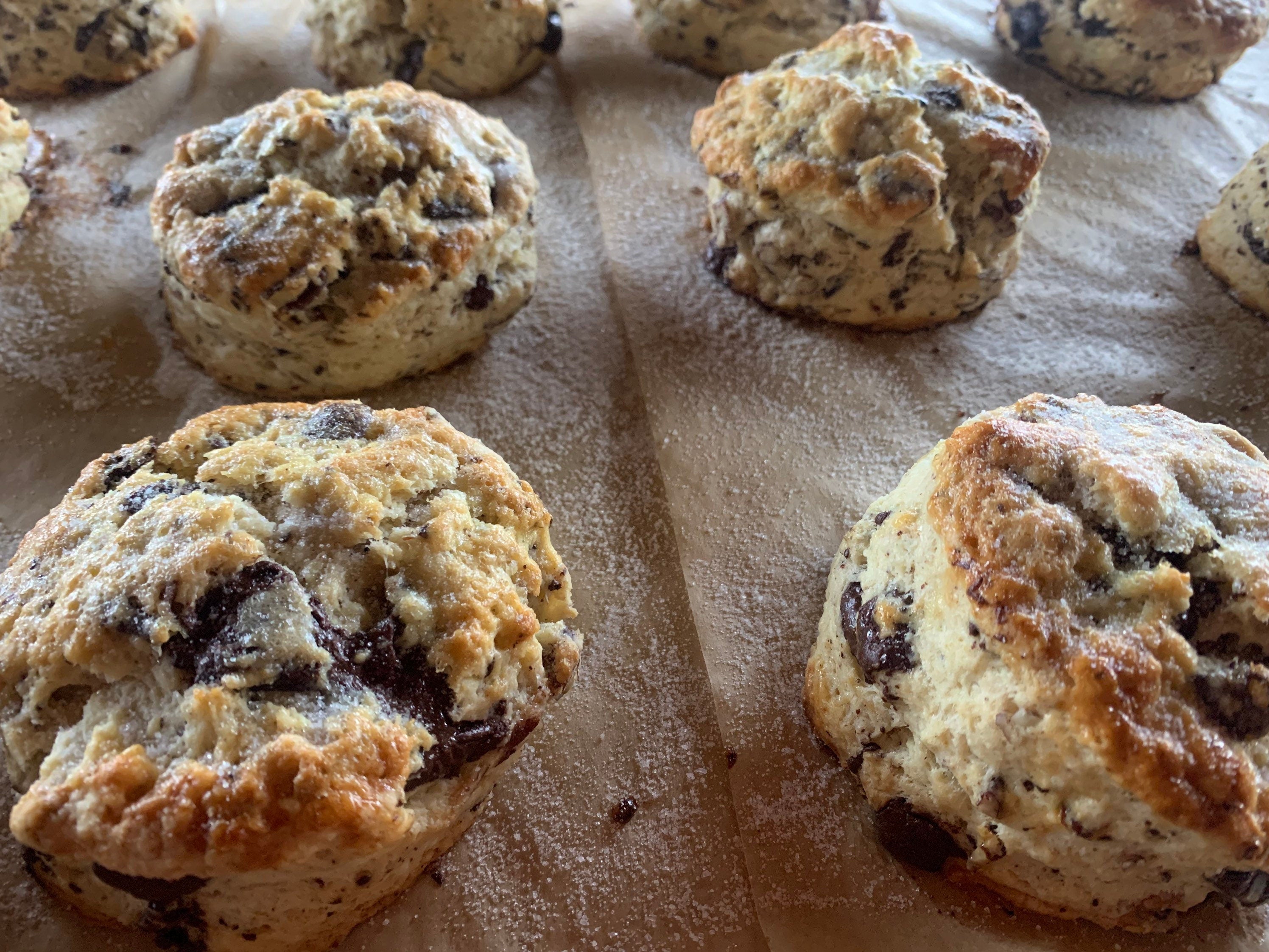 Chocolate Pecan Scones