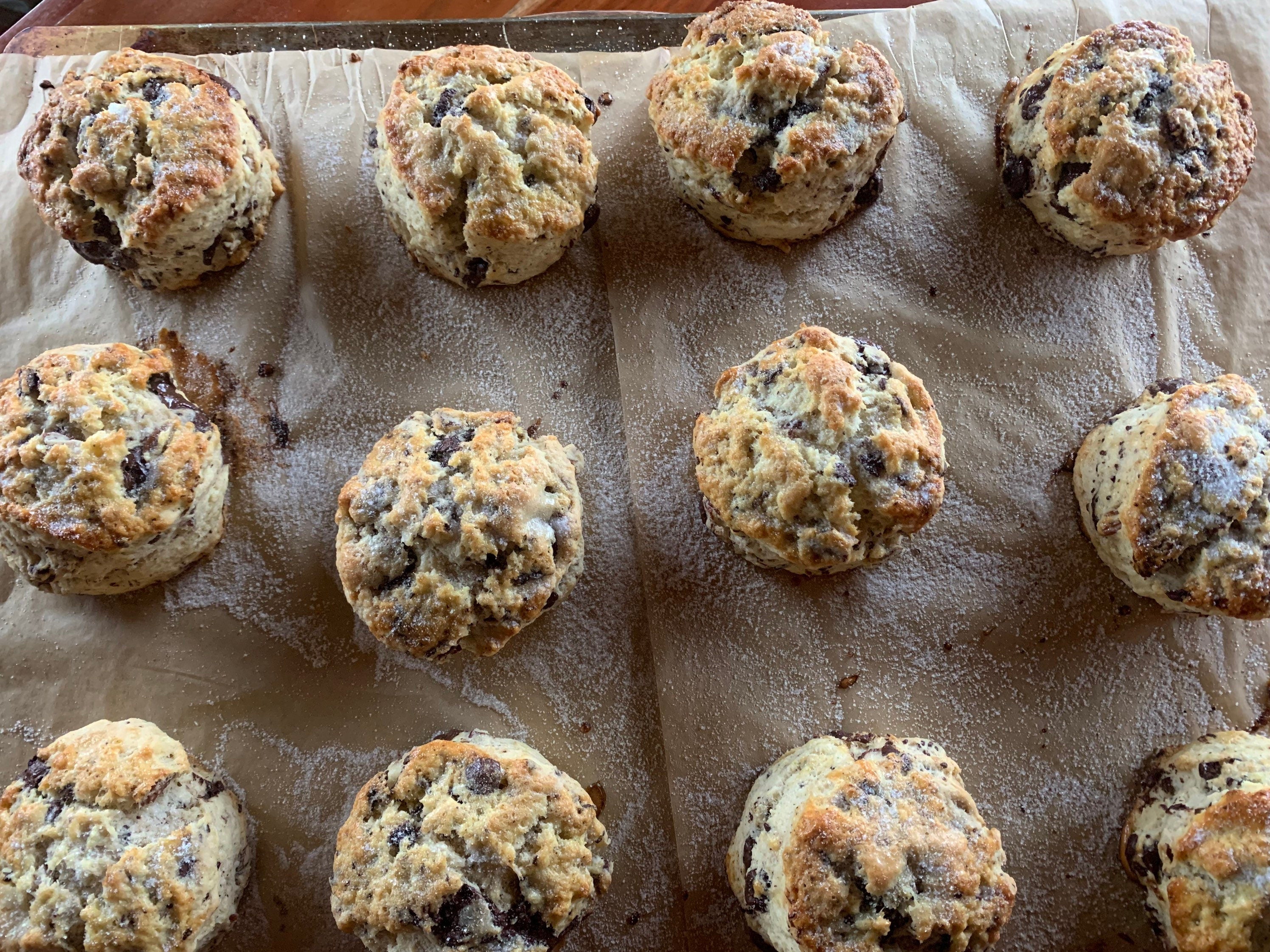 Chocolate Pecan Scones