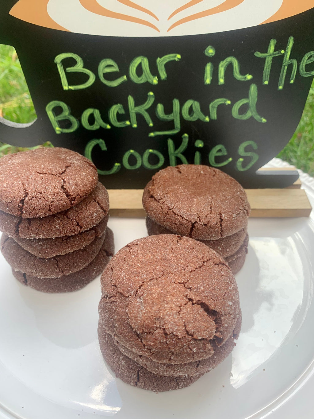 Bear in the Backyard Cookies