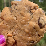 Oat my God Cookies