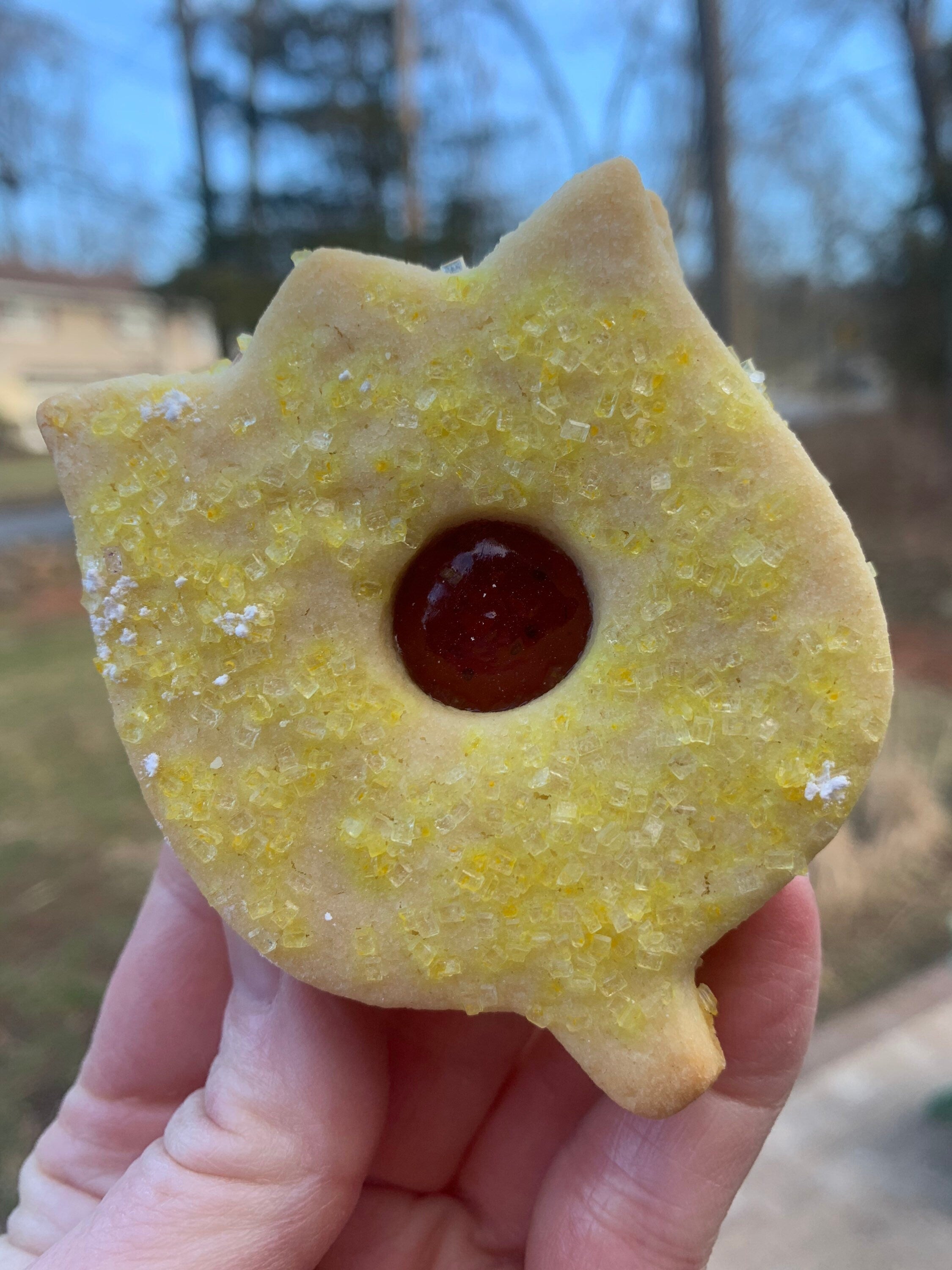 Pretty Tulip Linzer Cookies