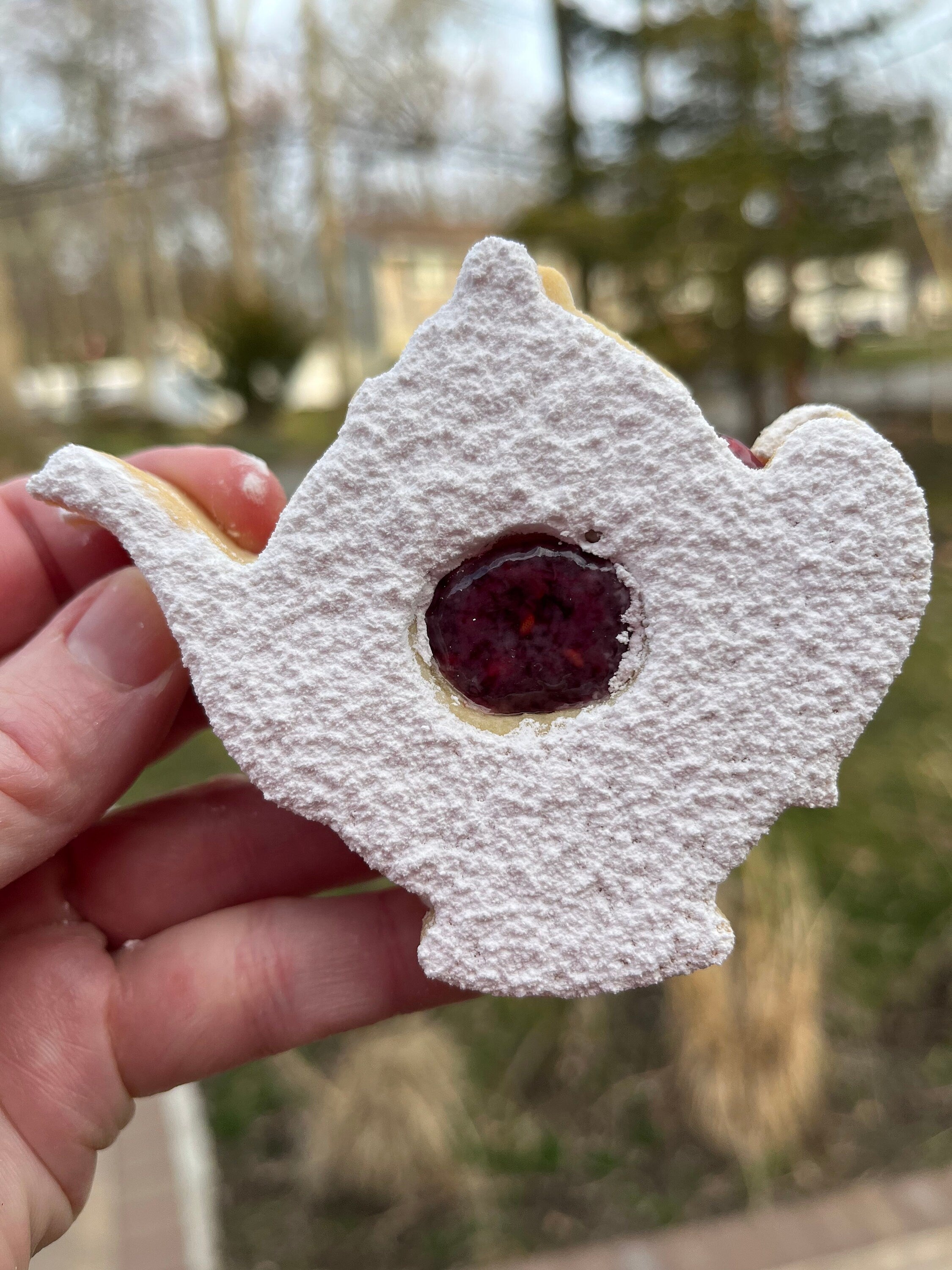 Teapot  Linzer Cookies