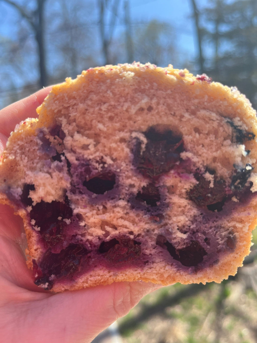 Jumbo Rustic Blueberry Muffins