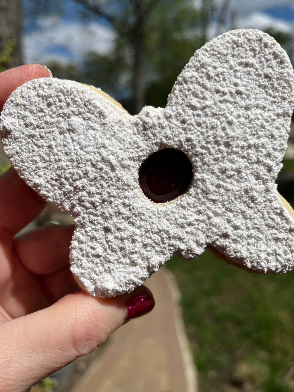 Butterfly Linzer Cookies