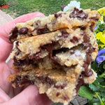 Salted Large Chocolate Chip Cookies