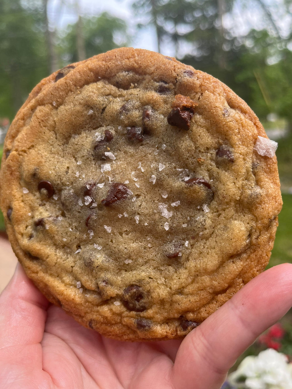 Salted Large Chocolate Chip Cookies